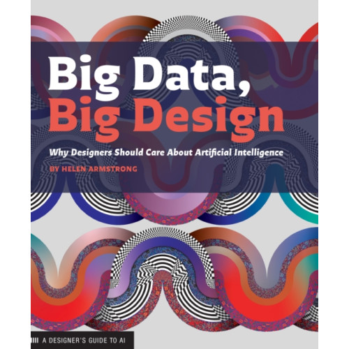 Princeton Architectural Press Big Data, Big Design (häftad, eng)