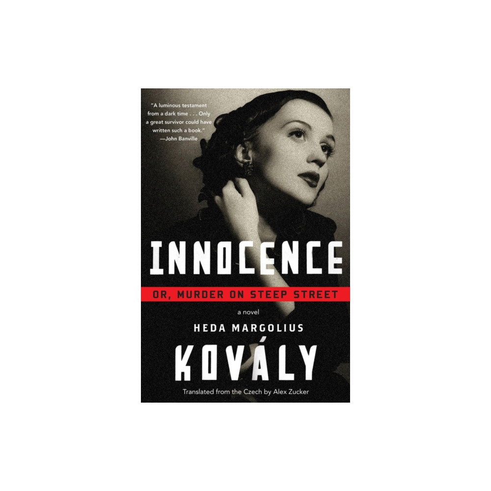 Produktbild för Innocence (häftad, eng)