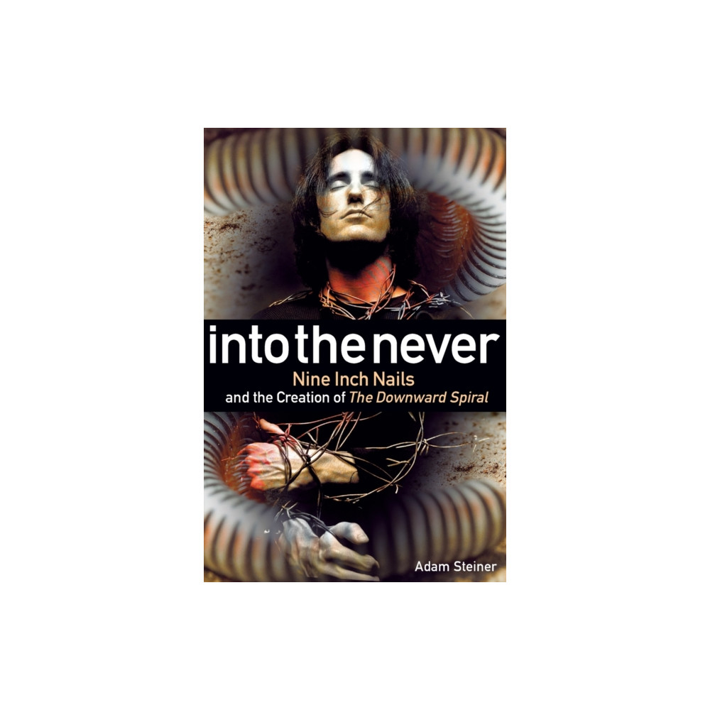 Produktbild för Into The Never (häftad, eng)