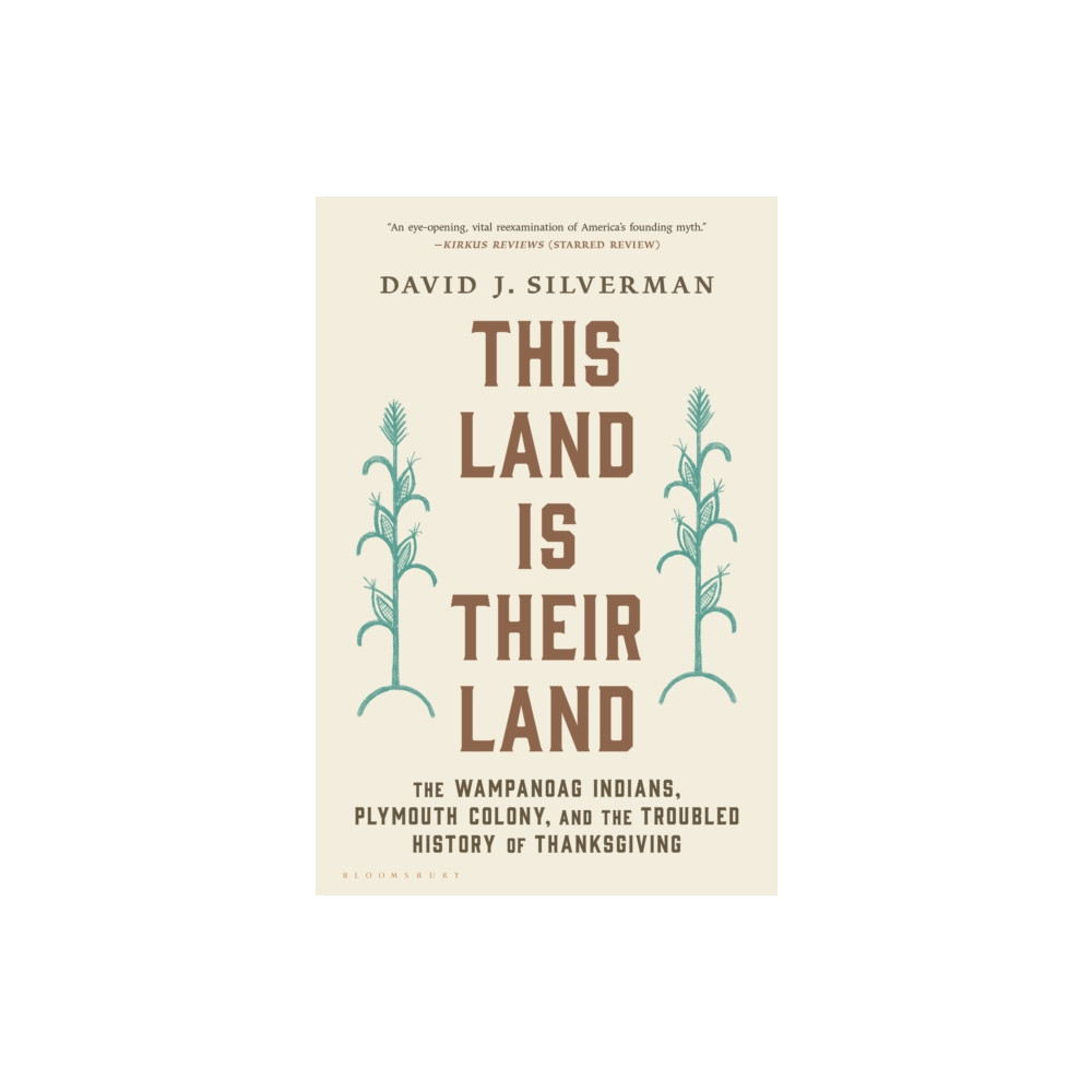 Produktbild för This Land Is Their Land (häftad, eng)