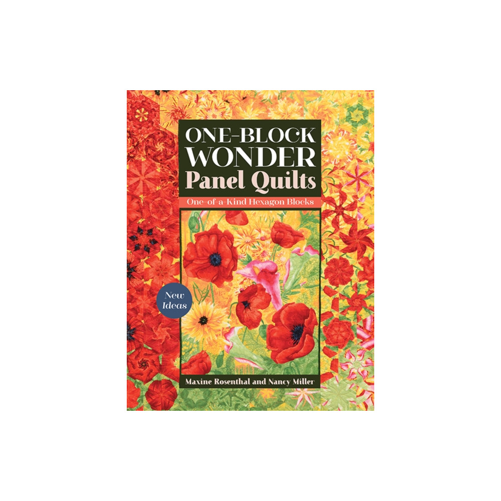 Produktbild för One-Block Wonder Panel Quilts (häftad, eng)