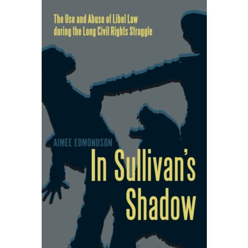 University of Massachusetts Press In Sullivan's Shadow (häftad, eng)