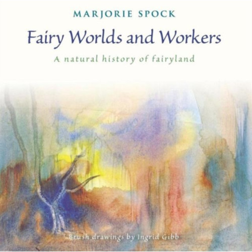 SteinerBooks, Inc Fairy Worlds and Workers (häftad, eng)