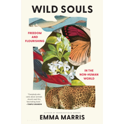 Bloomsbury Publishing USA Wild Souls (inbunden, eng)