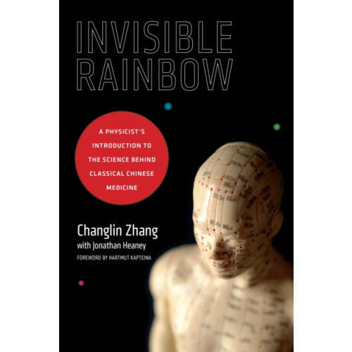 North Atlantic Books,U.S. Invisible Rainbow (häftad, eng)