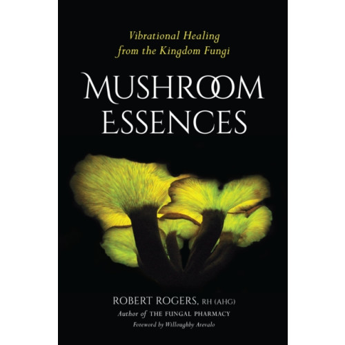 North Atlantic Books,U.S. Mushroom Essences (häftad, eng)