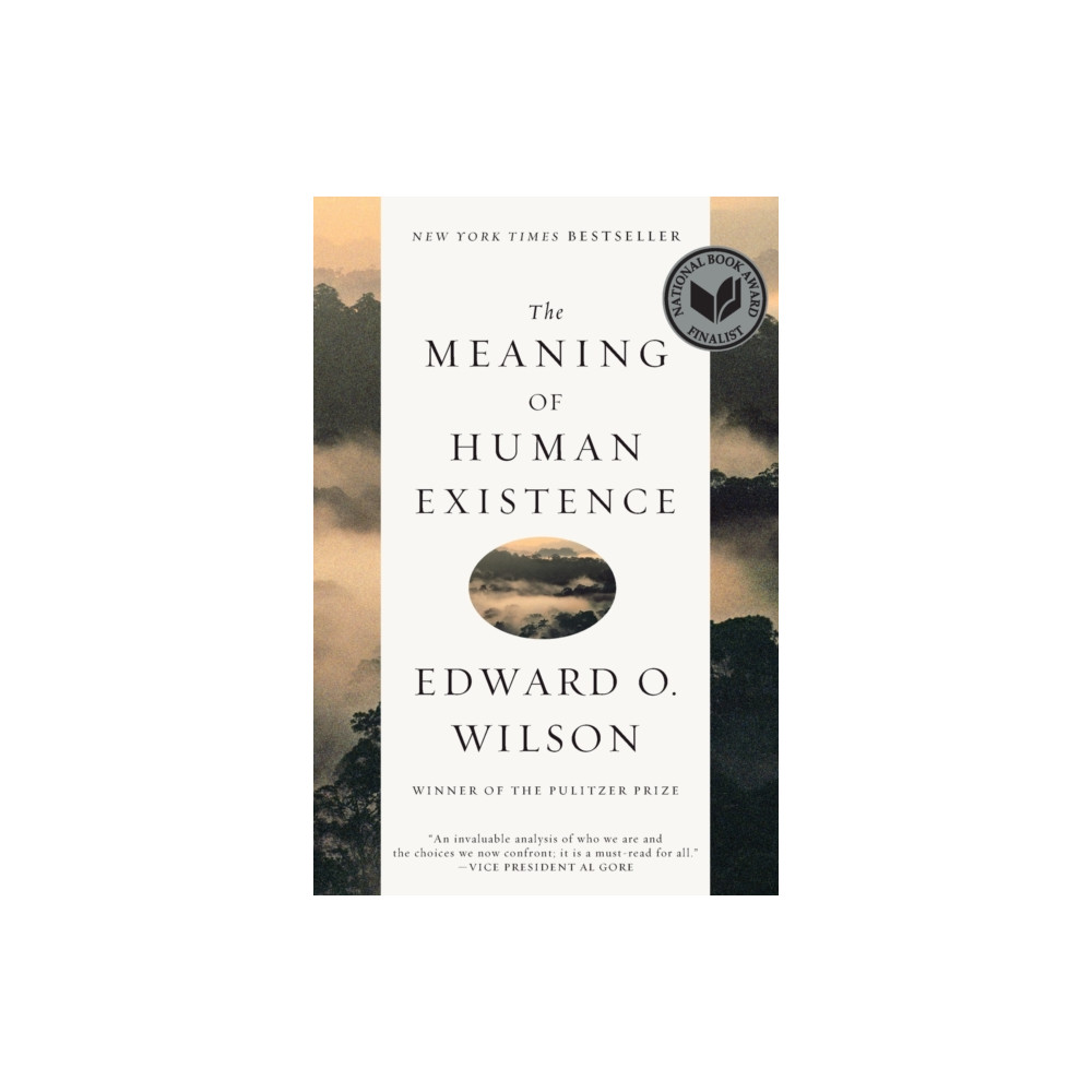 Produktbild för The Meaning of Human Existence (häftad, eng)