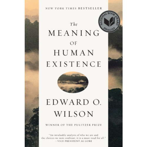 WW Norton & Co The Meaning of Human Existence (häftad, eng)