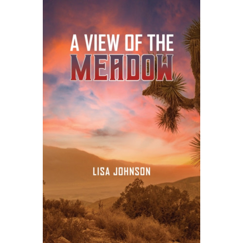 Austin Macauley Publishers LLC A View of the Meadow (inbunden, eng)