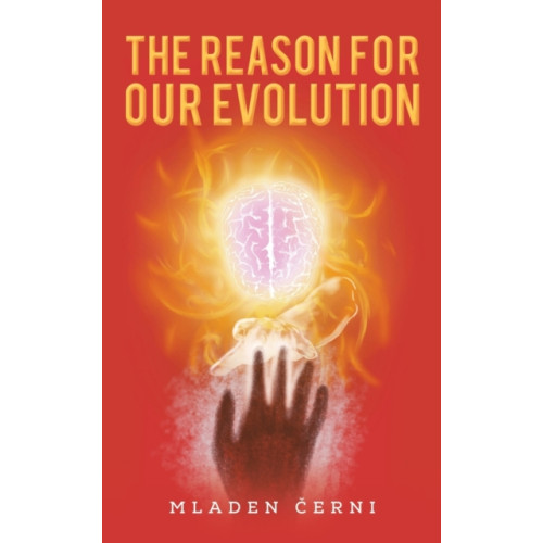 Austin Macauley Publishers LLC The Reason for Our Evolution (häftad, eng)