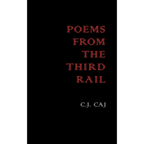 Austin Macauley Publishers LLC Poems from the Third Rail (häftad, eng)