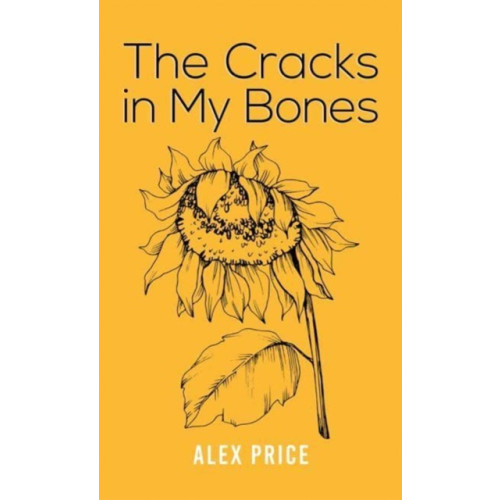 Austin Macauley Publishers LLC The Cracks in My Bones (häftad, eng)