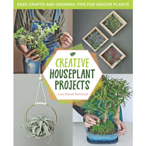 Cool Springs Press Creative Houseplant Projects (inbunden, eng)