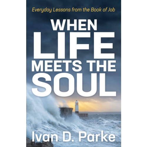 Morgan James Publishing llc When Life Meets the Soul (häftad, eng)