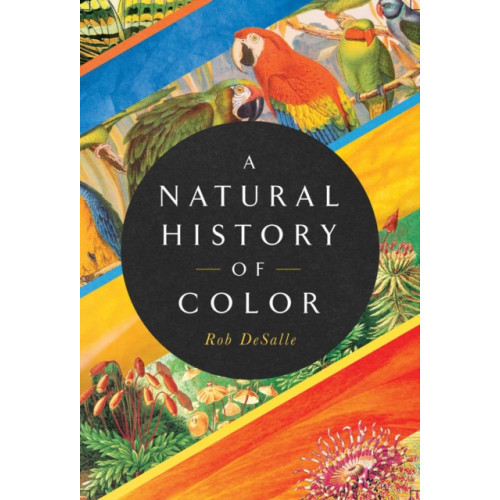 Pegasus Books A Natural History of Color (inbunden, eng)