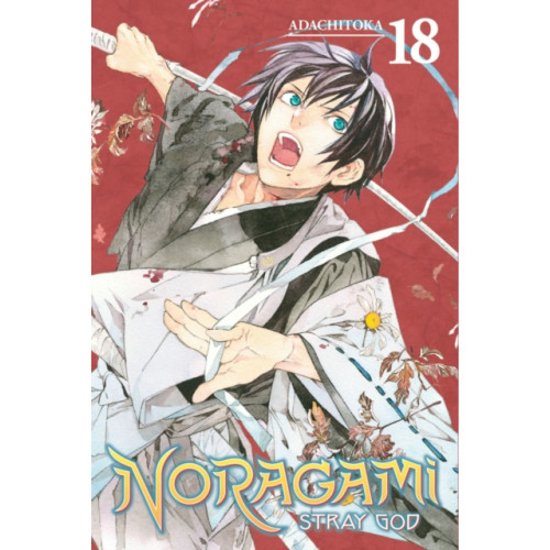 Kodansha America, Inc Noragami: Stray God 18 (häftad, eng)