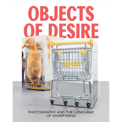 Distributed Art Publishers Objects of Desire (inbunden, eng)