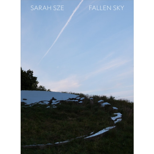 Distributed Art Publishers Sarah Sze: Fallen Sky (inbunden, eng)