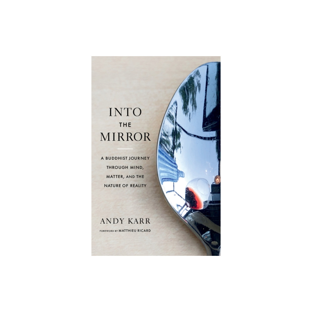 Produktbild för Into the Mirror (häftad, eng)