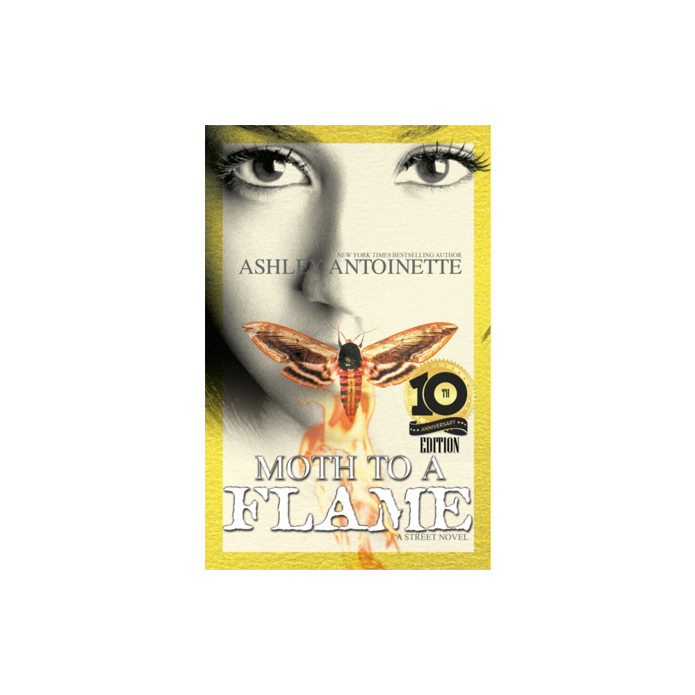 Produktbild för Moth to a Flame (häftad, eng)