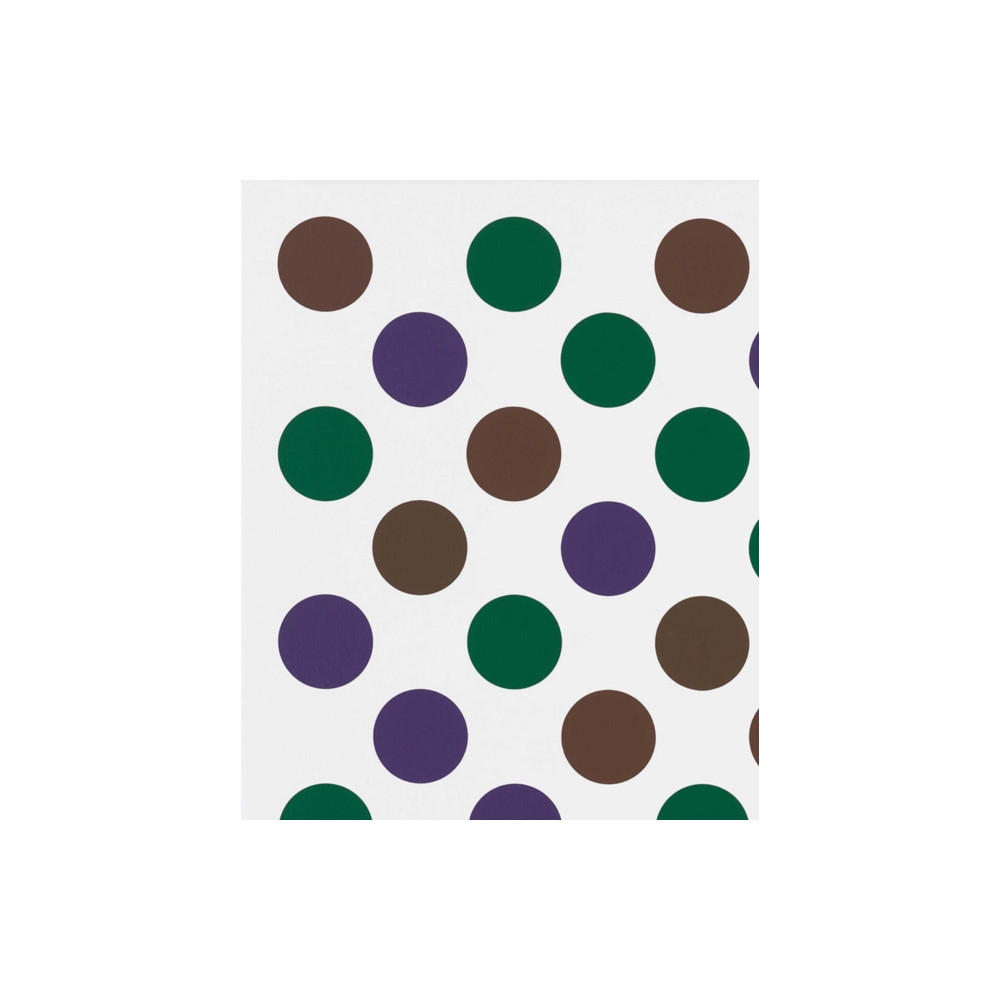 Produktbild för Bridget Riley: Past into Present (inbunden, eng)