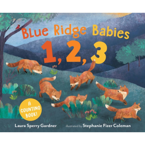 Page Street Publishing Co. Blue Ridge Babies 1, 2, 3 (inbunden, eng)