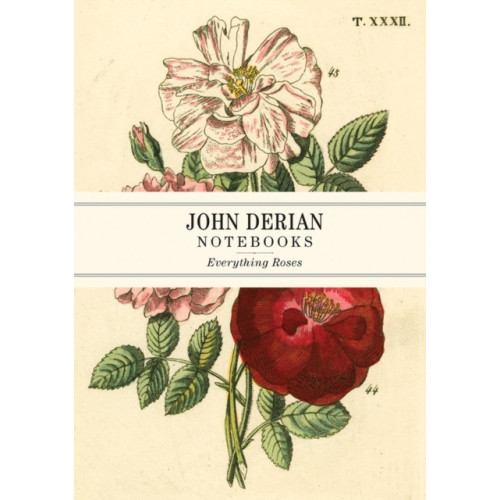 Workman Publishing John Derian Paper Goods: Everything Roses Notebooks (häftad, eng)