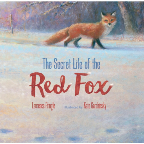 Astra Publishing House Secret Life of the Red Fox (inbunden, eng)