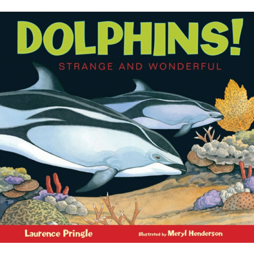 Astra Publishing House Dolphins! (inbunden, eng)