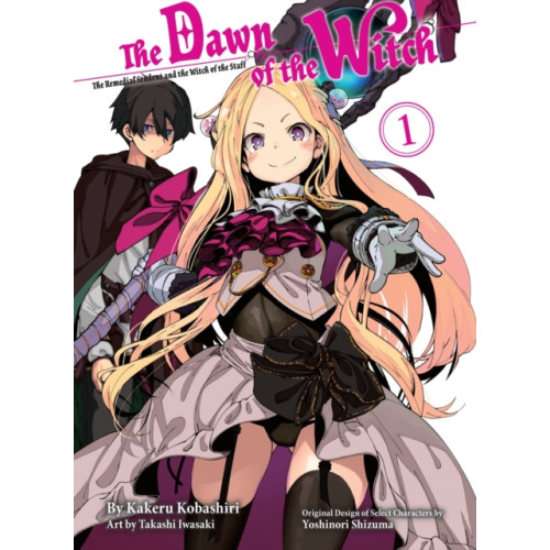 Vertical Inc. The Dawn of the Witch 1 (light novel) (häftad, eng)