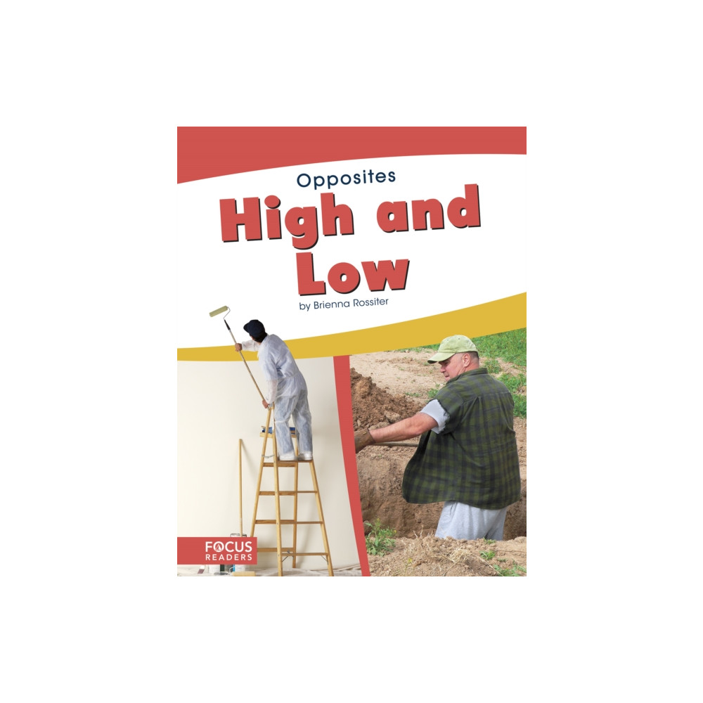 Produktbild för High and Low (häftad, eng)