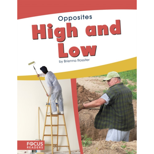 North Star Editions High and Low (häftad, eng)