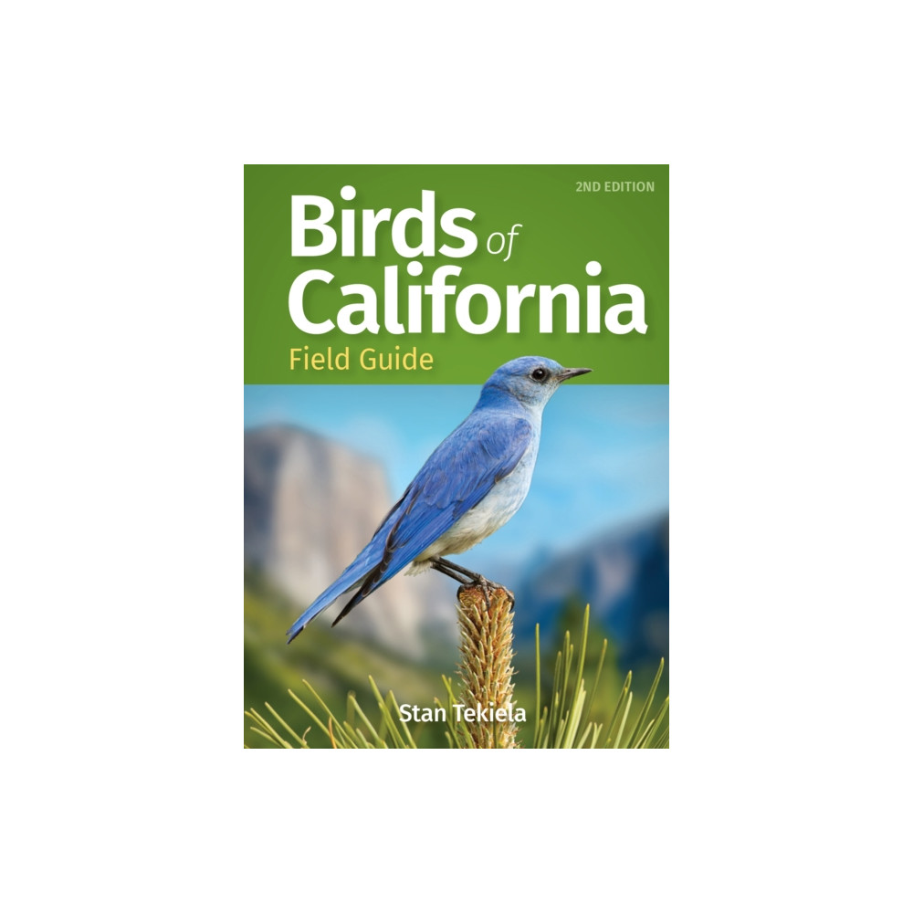 Produktbild för Birds of California Field Guide (häftad, eng)