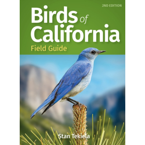Adventure Publications, Incorporated Birds of California Field Guide (häftad, eng)