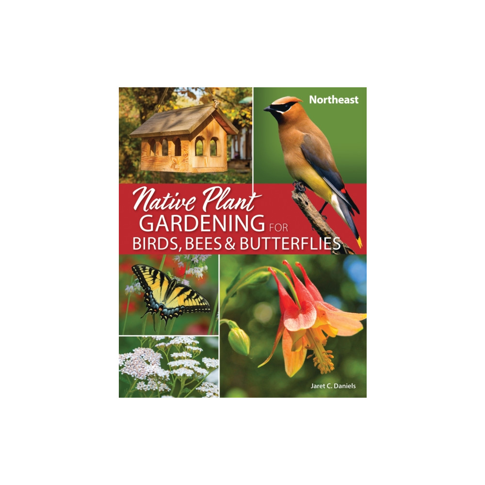 Produktbild för Native Plant Gardening for Birds, Bees & Butterflies: Northeast (häftad, eng)