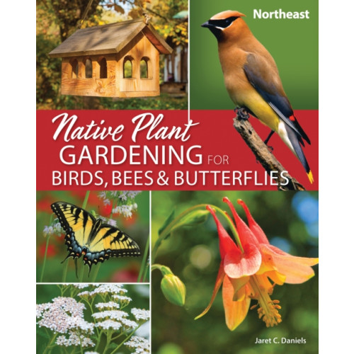 Adventure Publications, Incorporated Native Plant Gardening for Birds, Bees & Butterflies: Northeast (häftad, eng)