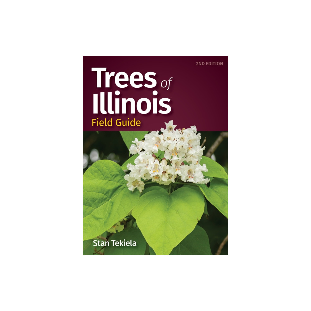 Produktbild för Trees of Illinois Field Guide (häftad, eng)