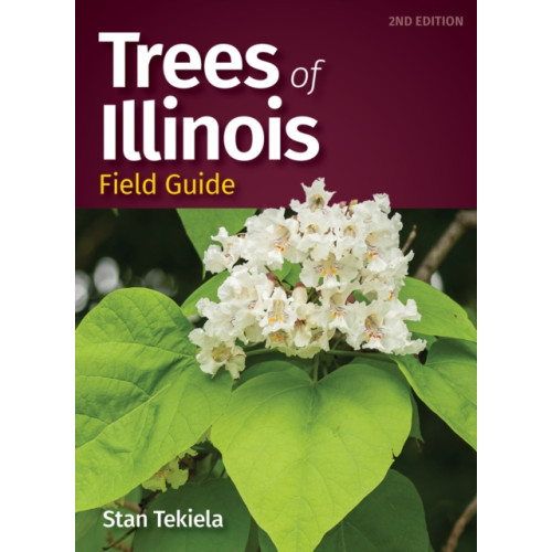 Adventure Publications, Incorporated Trees of Illinois Field Guide (häftad, eng)