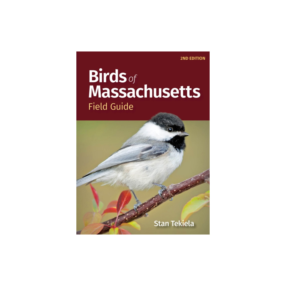 Produktbild för Birds of Massachusetts Field Guide (häftad, eng)
