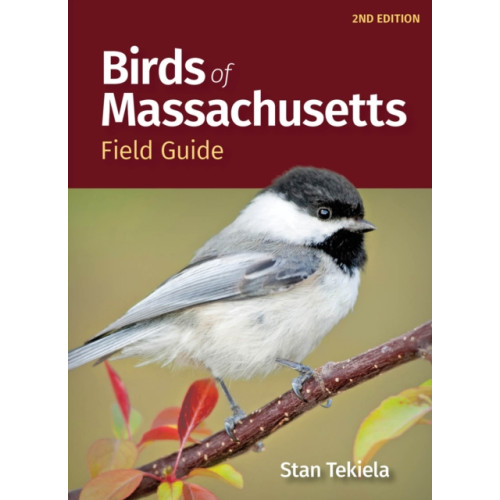 Adventure Publications, Incorporated Birds of Massachusetts Field Guide (häftad, eng)