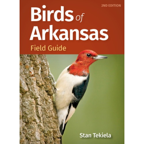Adventure Publications, Incorporated Birds of Arkansas Field Guide (häftad, eng)