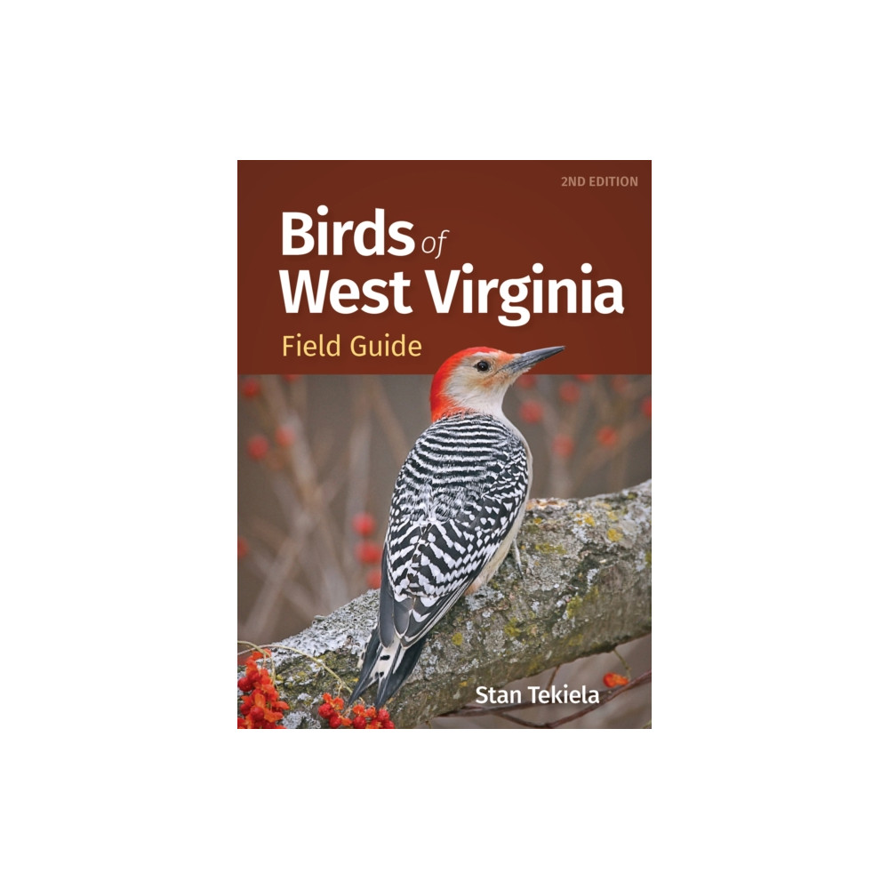 Produktbild för Birds of West Virginia Field Guide (häftad, eng)