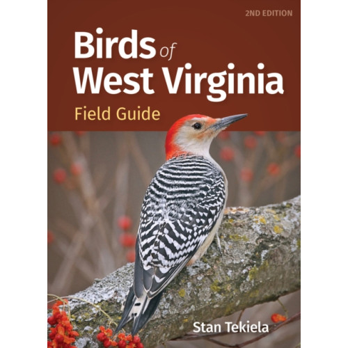 Adventure Publications, Incorporated Birds of West Virginia Field Guide (häftad, eng)