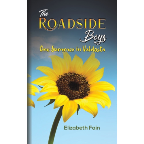 Austin Macauley Publishers LLC The Roadside Boys (häftad, eng)