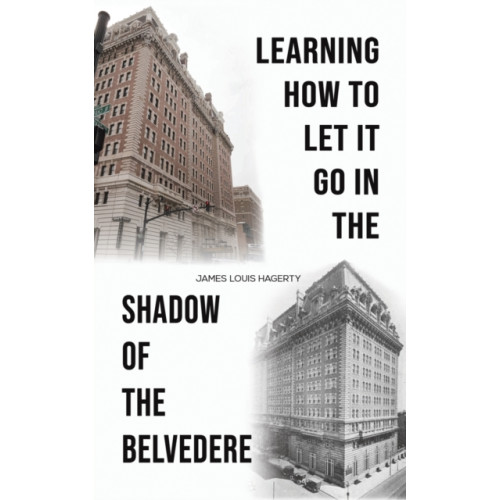 Austin Macauley Publishers LLC Learning How to Let It Go in the Shadow of the Belvedere (häftad, eng)