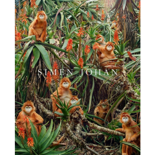 powerHouse Books,U.S. Simen Johan (inbunden, eng)