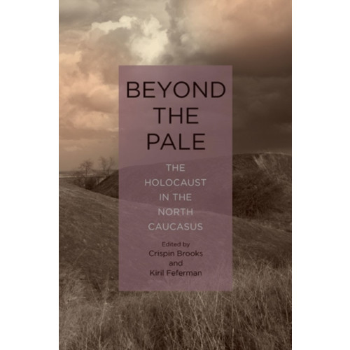 Boydell & Brewer Ltd Beyond the Pale (inbunden, eng)