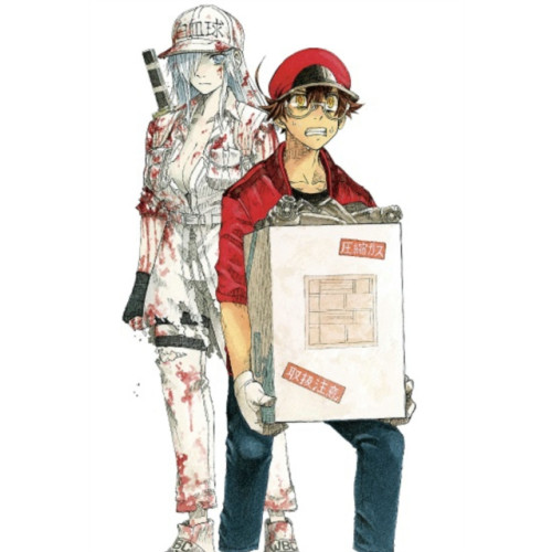 Kodansha America, Inc Cells at Work! CODE BLACK 8 (häftad, eng)