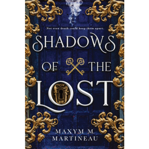 Sourcebooks, Inc Shadows of the Lost (häftad, eng)