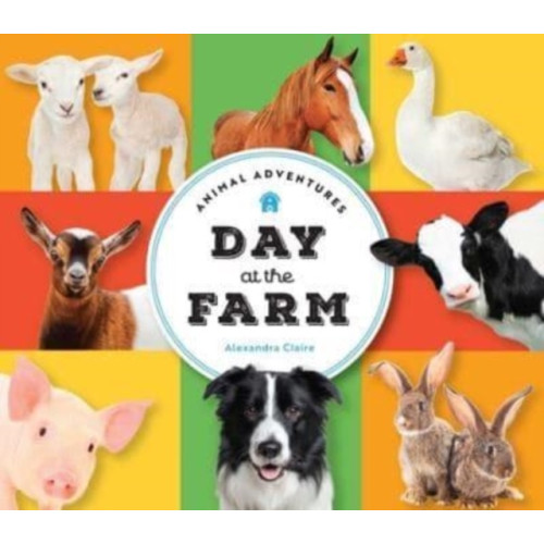 Animal Adventures: Day at the Farm , The Collective Book Studio (bok, board book, english)